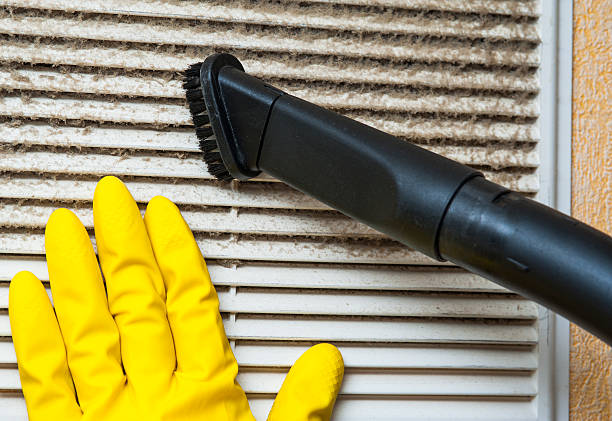 Best Ductwork Cleaning Services  in Old Fig Garden, CA